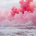 Portugal Pavilion at the 2025 Venice Architecture Biennale Presents an Immersive Allegory of Paradise - Image 4 of 55