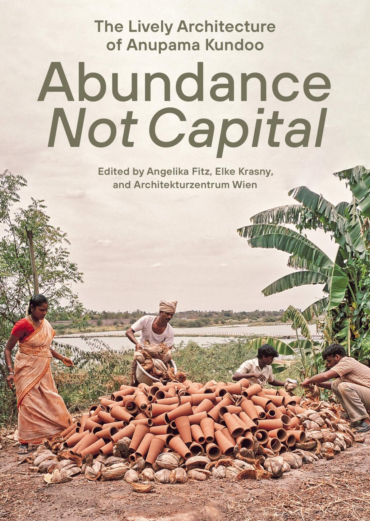 Book cover of "Abundance not Capital"