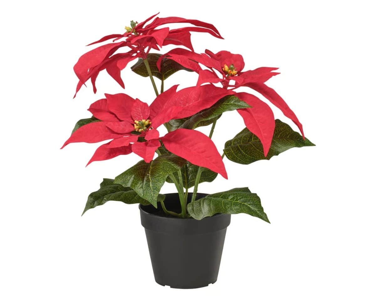 Front porch christmas decor - VINTERFINT Potted Red Poinsettia