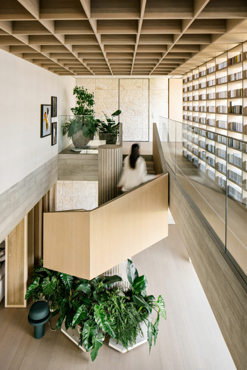 A person descends a light wood staircase in a modern interior with plants, artwork, glass railing, and a wall lined with bookshelves.