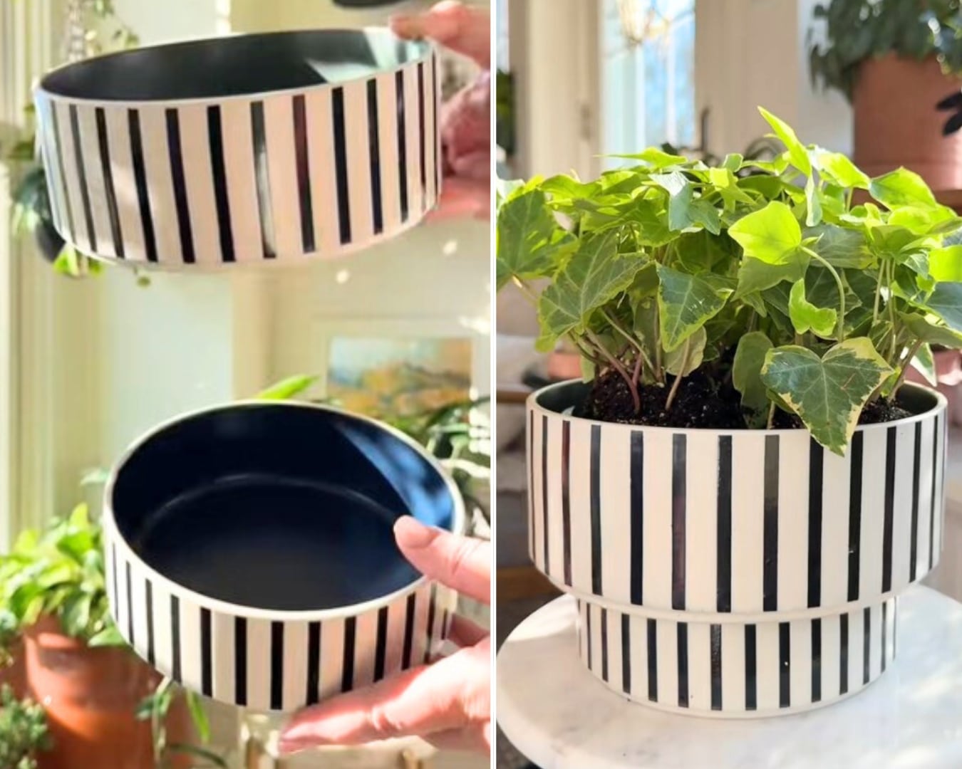DIY Self-Watering Planter using IKEA dog bowls