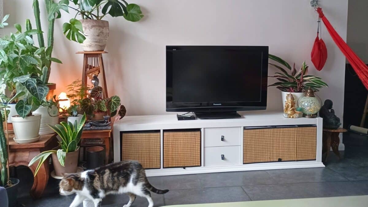TV Console With Storage