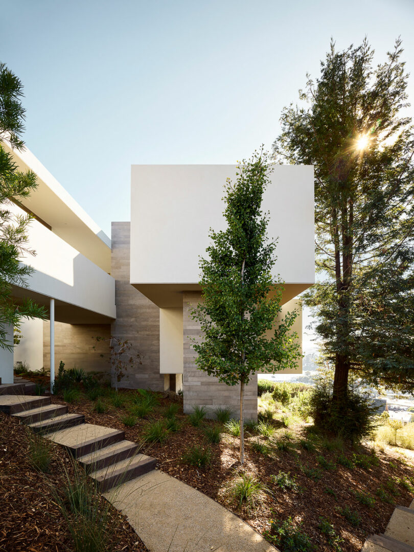 Modern house with white geometric shapes and concrete walls, surrounded by trees and landscaped garden, with sunlight filtering through the branches.