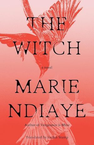 cover of The Witch by Marie Diaye
