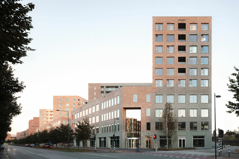 Modern multi-story brick buildings with large windows are situated on a city street corner, with trees, a sidewalk, and a traffic light in the foreground.