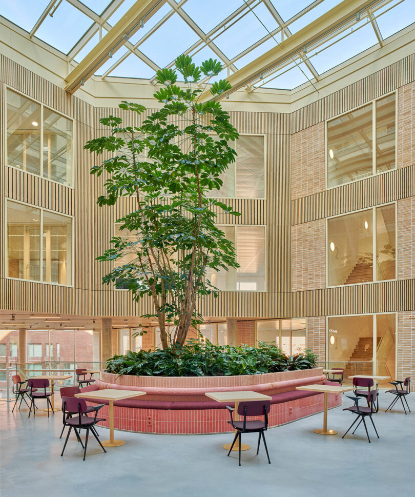 A spacious atrium with a large indoor tree, glass ceiling, circular planter, tables, and chairs, surrounded by modern brick and wood-paneled walls and large windows.